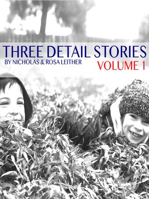 cover image of Three Detail Stories